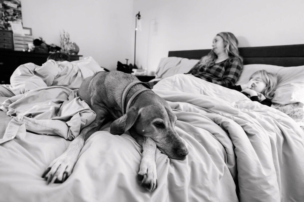 An old dog laying at the foot of the bed with mom and daughter in the background during a documentary session in Carmichael, CA